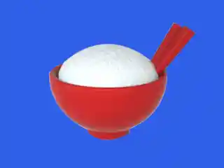 100000000 grains of rice cover