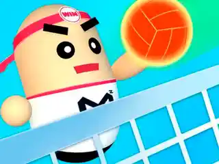 3D Amazing VolleyBall cover